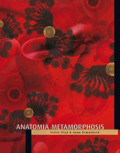 Exibition: Anatomia metamorphosis, Paris (2009)